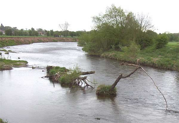 Stranded timber in the River Dee Bangor-on-Dee North Wales