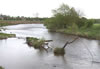 Stranded timber in the River Dee Bangor-on-Dee North Wales