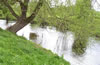 Springtime on the banks of the River Dee Bangor-on-Dee North Wales